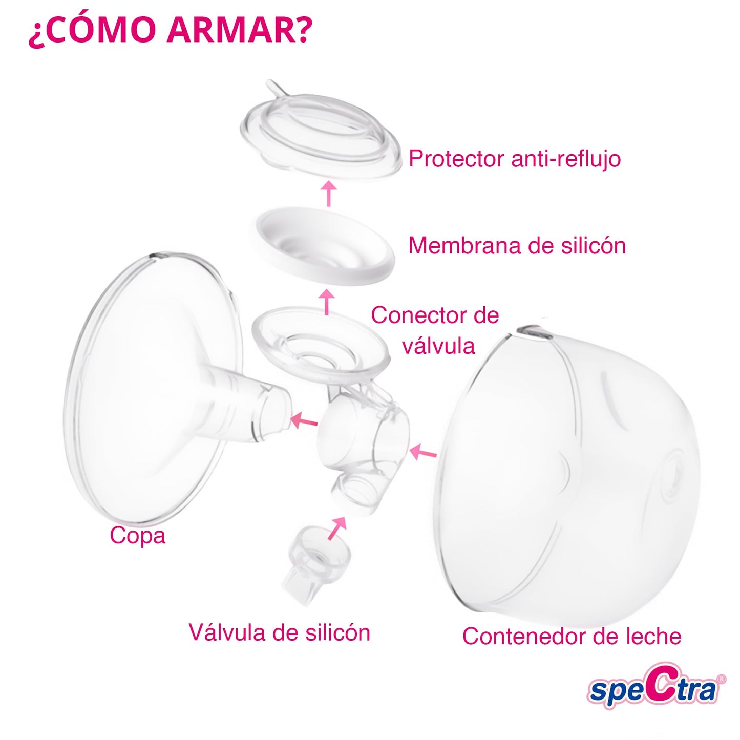Copa Electrica Spectra Saca Leche Libre Manos Medida 28 mm