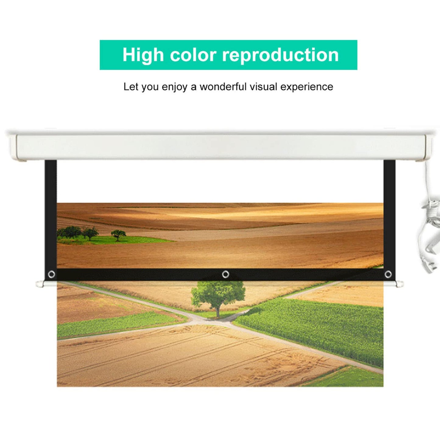 Pantalla Proyector HD 100 Pulgadas 16:9, Portátil para Películas 3D, Cortina Blanca para Montaje en Pared, Ideal para Salas de Cine en Casa