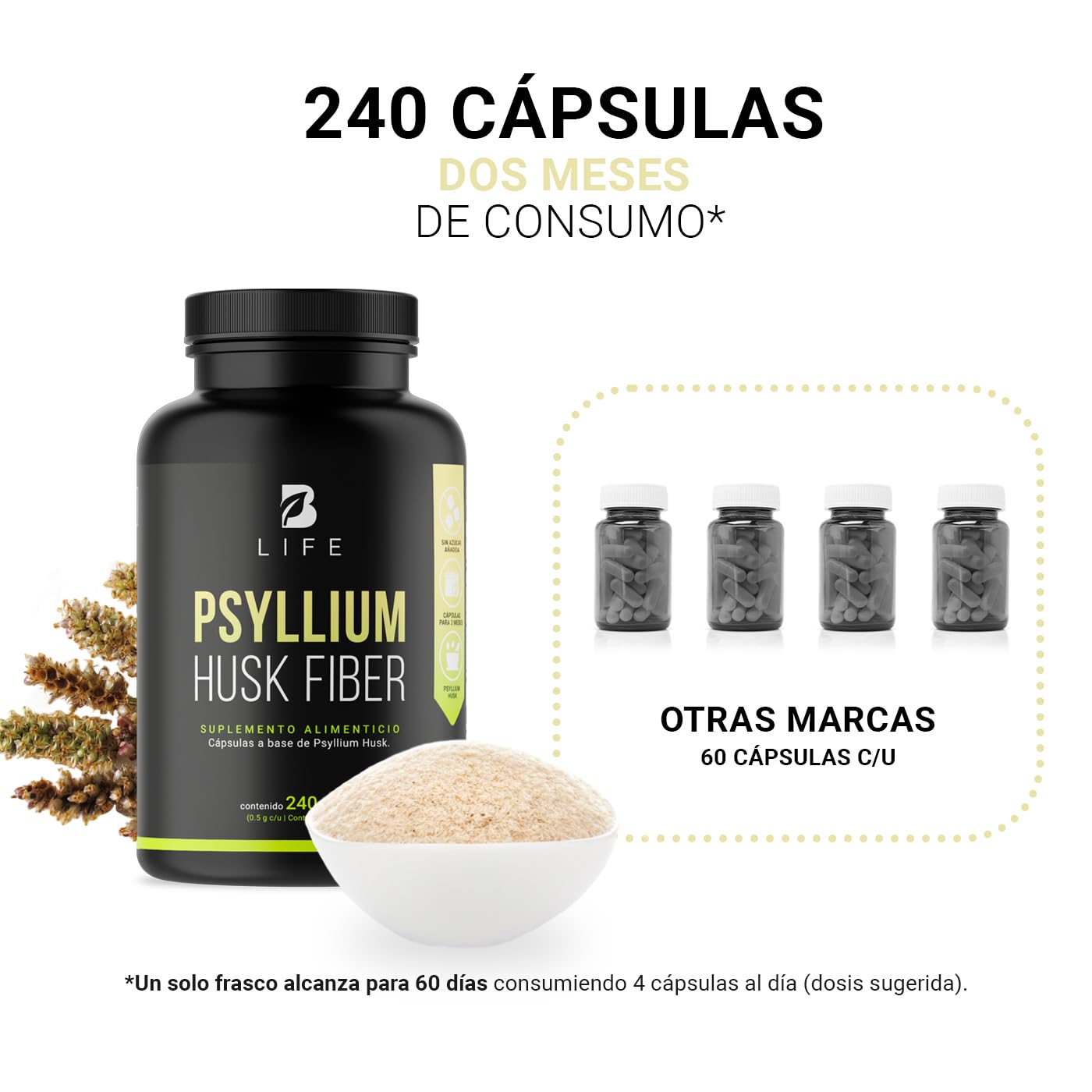 Fibra de Psyllium Husk (Plantago Ovata) 240 Cápsulas 2000 mg por porción. Ingredientes Naturales. Psyllium Husk Fiber B Life