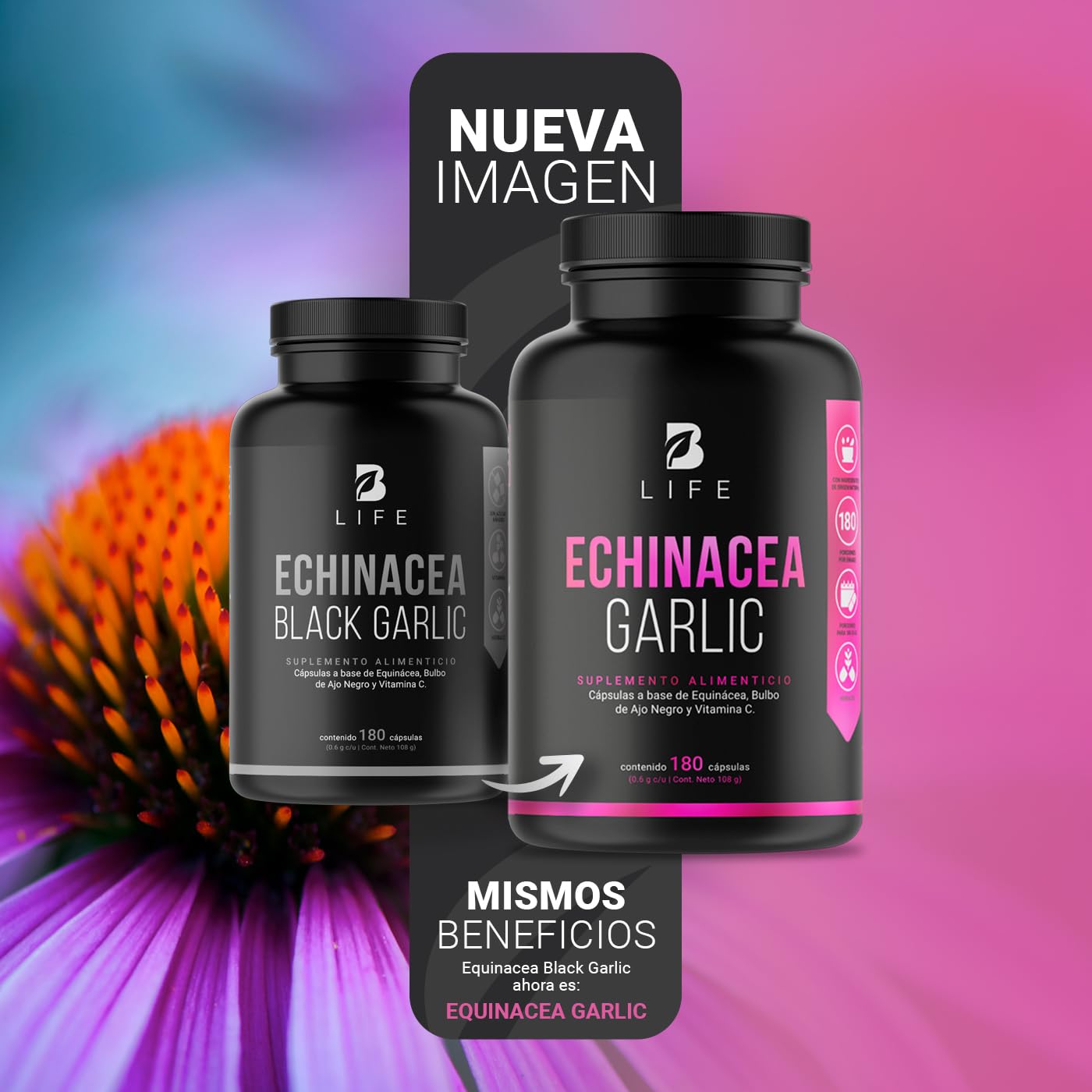 B Life Equinácea de 180 Cápsulas de 600 mg. Adicionado con Ajo Negro y Vitamina C. Ingredientes naturales. Echinacea Garlic.