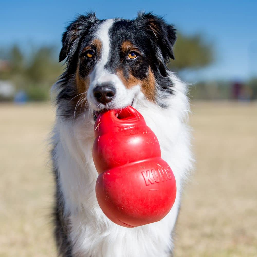 Kong Juguete Rebotador extra grande para Perro
