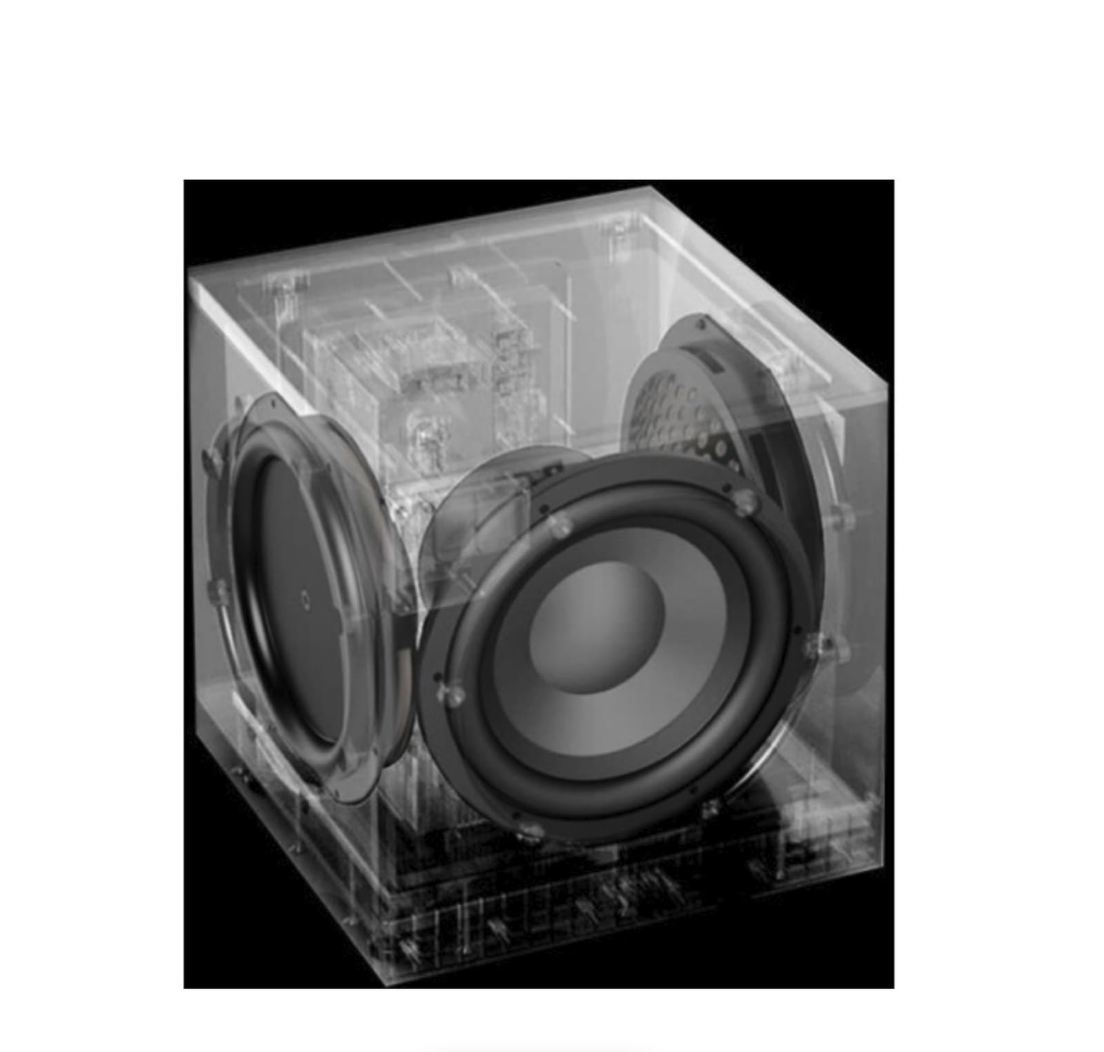 Definitive Technology DN12 Subwoofer de Ultra Rendimiento de 1500 W de 12" con radiadores de Graves Dobles de 12"