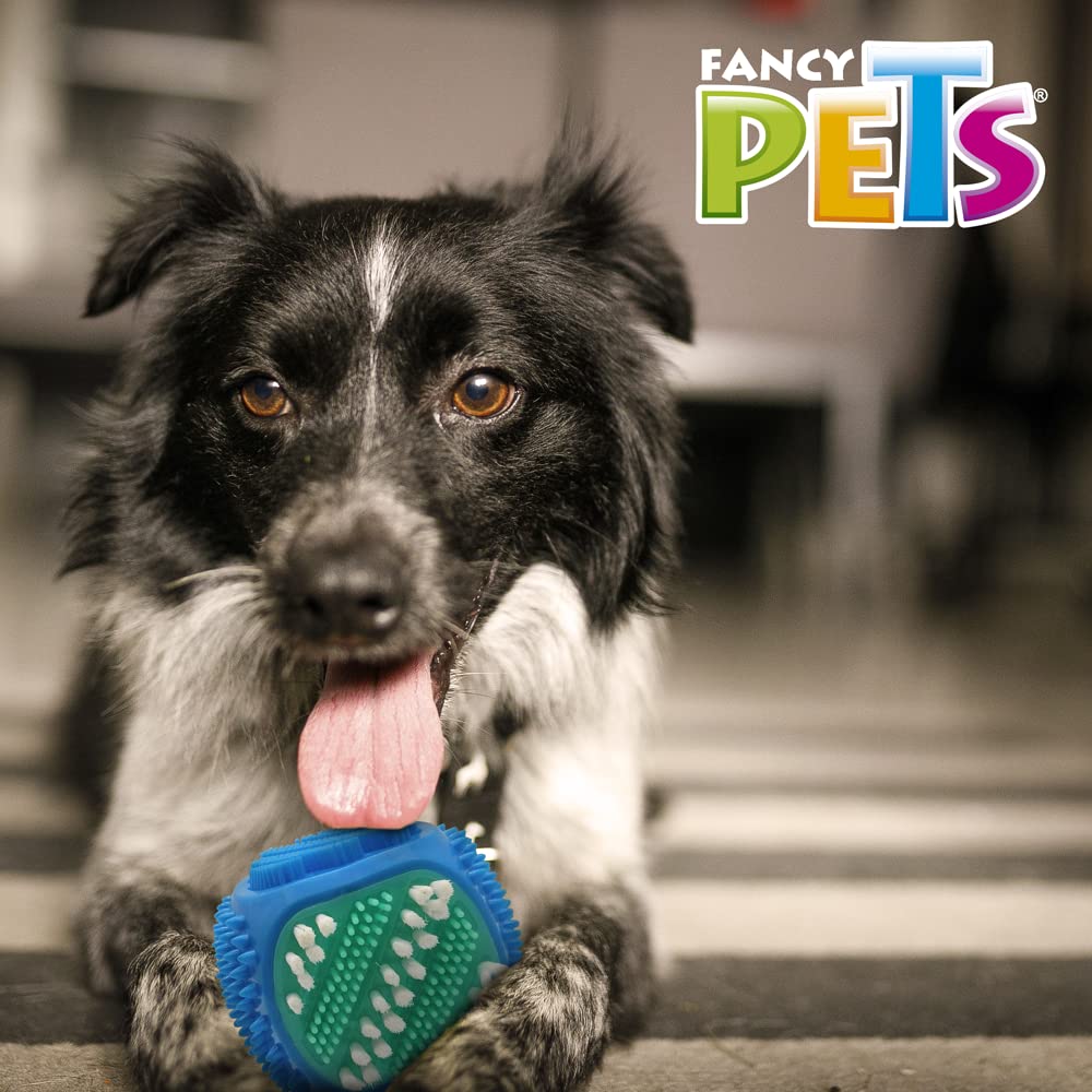 Juguete Dental Fancy Pets en Forma de Cubo con Cerdas para Perro