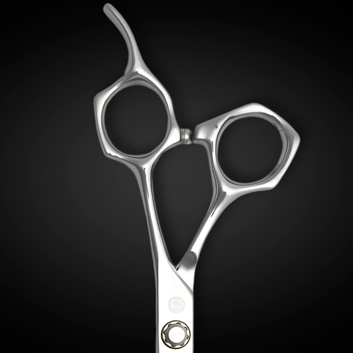 Saki Shears Tijeras profesionales para cortar el cabello - 6 pulgadas - Hoja convexa - Acero inoxidable japonés 440C - Para corte húmedo o seco - Musashi para peluqueros y barberos