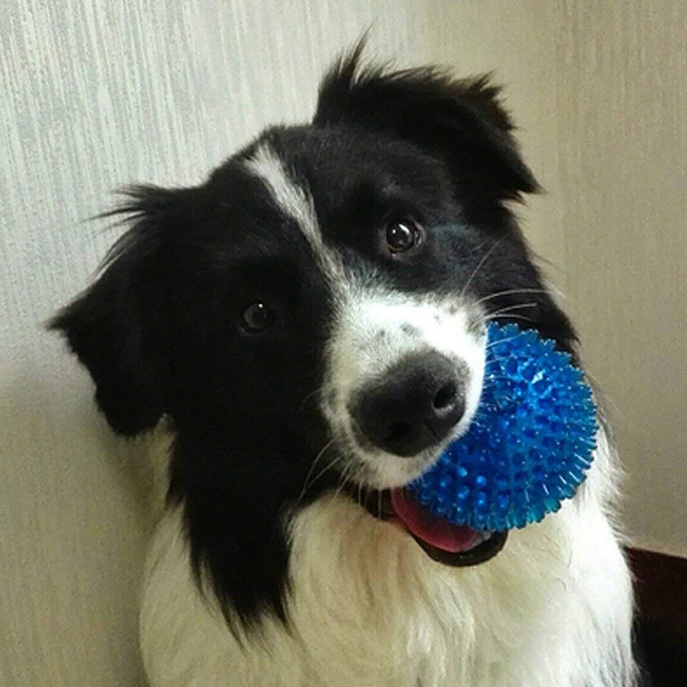 Pelota de Juguete para Perros Pequeños y Medianos Resistente a Mordeduras de Pelota Puntiaguda Azul