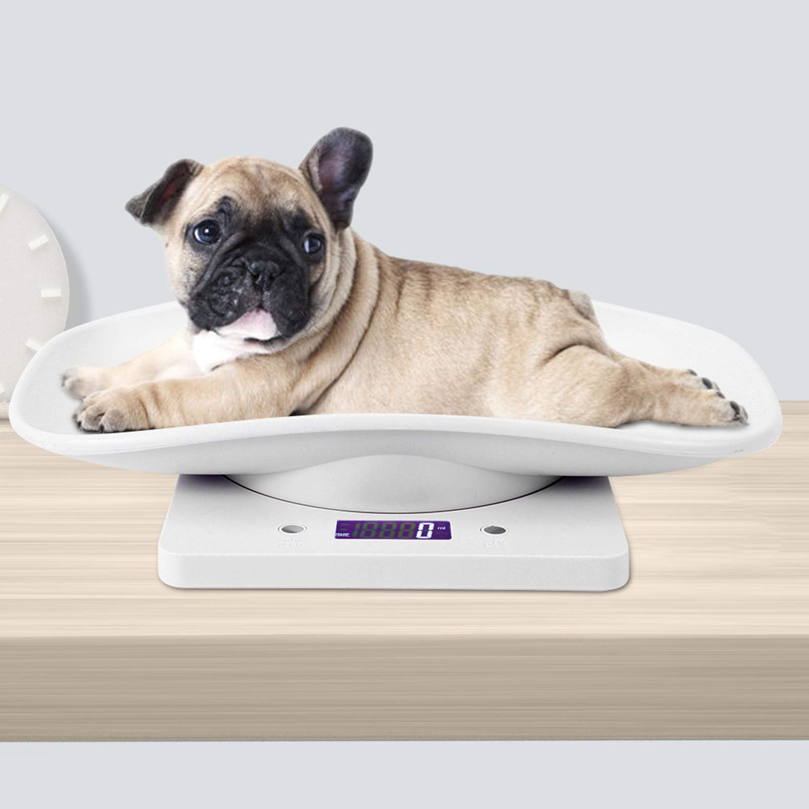 Báscula multifunción para bebés - Báscula digital de peso para mascotas pequeñas de 10 kg / 1 g con g/ml/oz/lb.oz para medir bebés/mascotas, color blanco