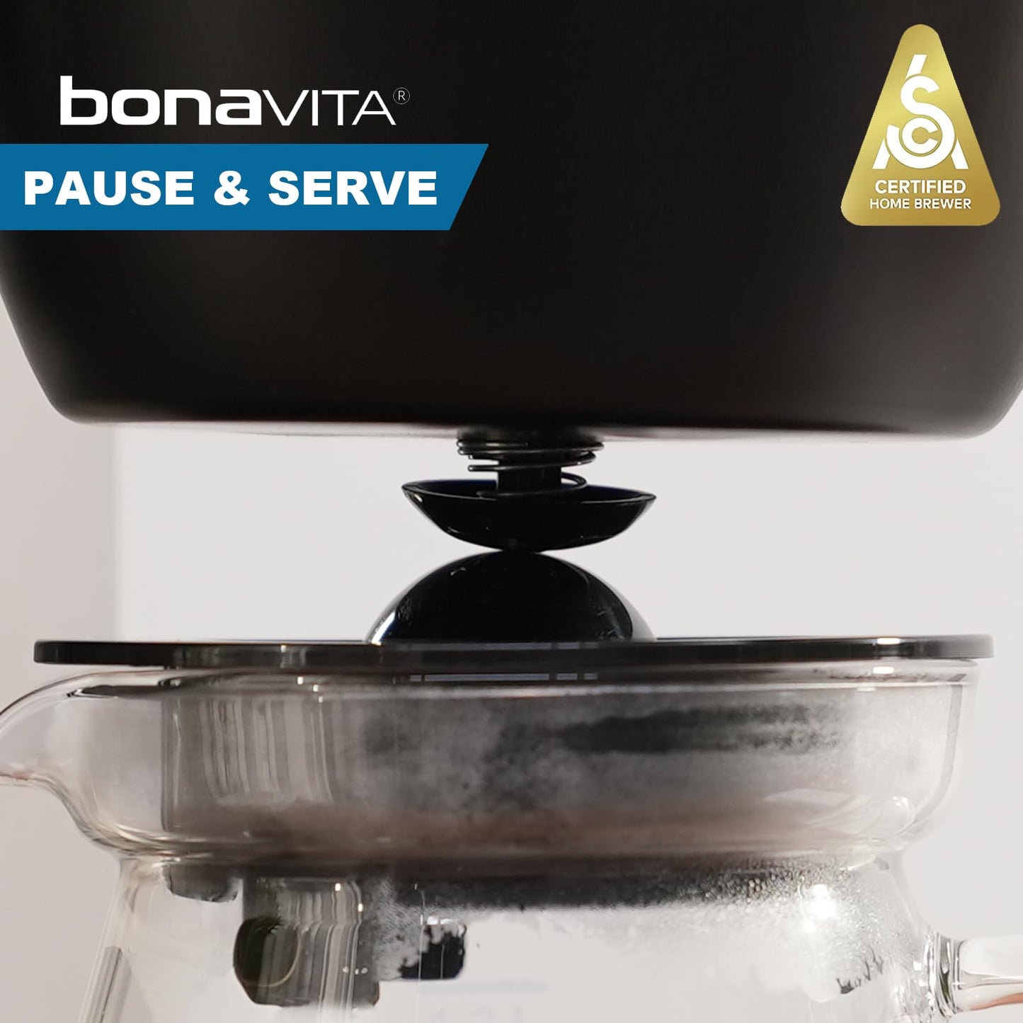 Bonavita Enthusiast - Cafetera de goteo de 8 tazas, con jarra térmica, panel de acero inoxidable, depósito extraíble, color negro mate