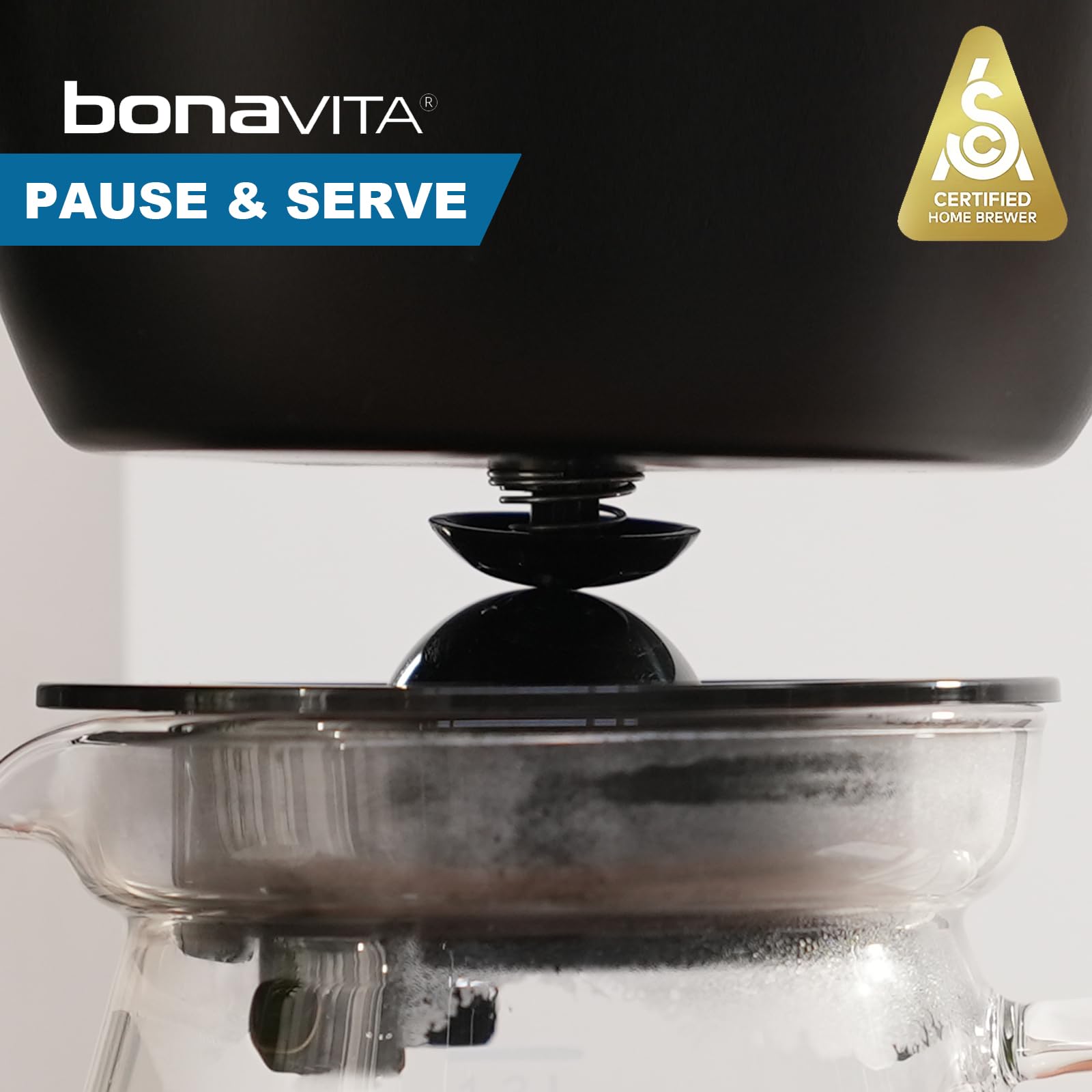 Bonavita Enthusiast - Cafetera de goteo de 8 tazas, con jarra térmica, panel de acero inoxidable, depósito extraíble, color negro mate