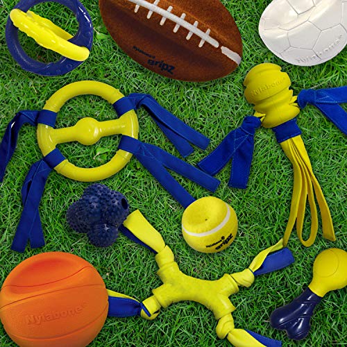 Nylabone Juguete Power Play Soccer Ball