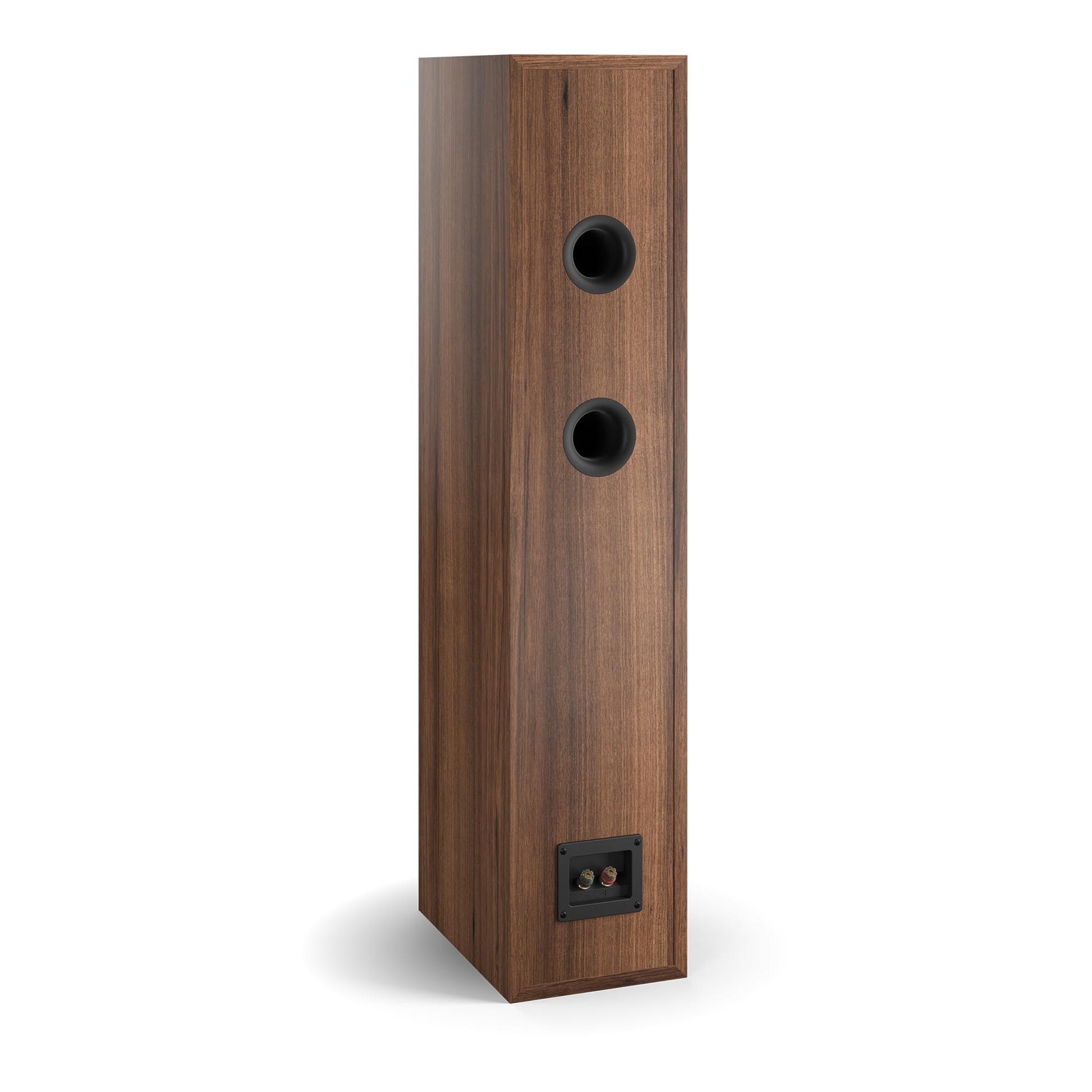 Dali Spektor 6 150W Nuez - Bocinas (Bocina set unit, De 2 vías, Mesa/estante, Montar en la pared, 16.5 cm (6.5"), 2.5 cm, 150 W)