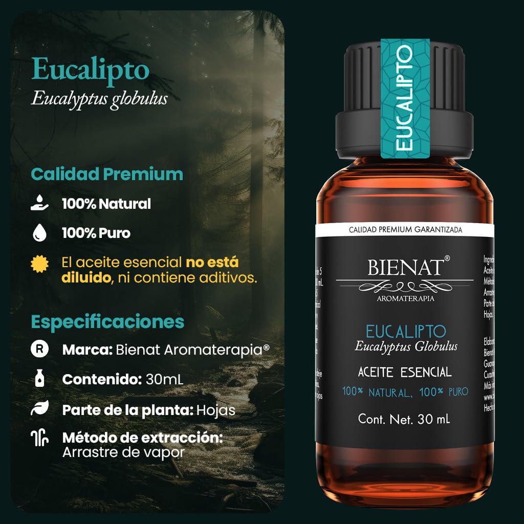 BIENAT AROMATERAPIA Aceite Esencial de Eucalipto 30mL | 100% Puro y Concentrado | Ideal para Difusor de Aromas, Humidificador, Aromaterapia, Masajes, Meditación, Jabones y Velas | Esencia Natural en Gotas