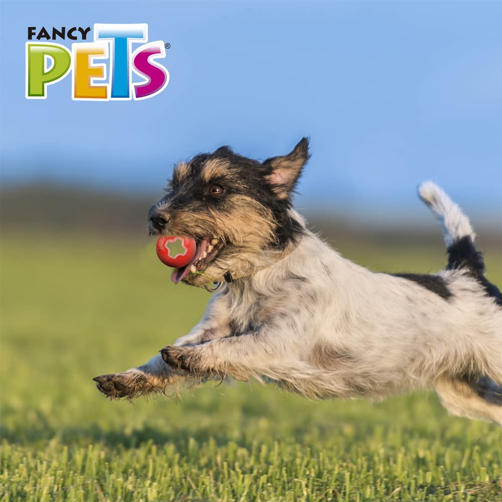 Juguete Bola Fancy Pets Xtreme Chica para Perro