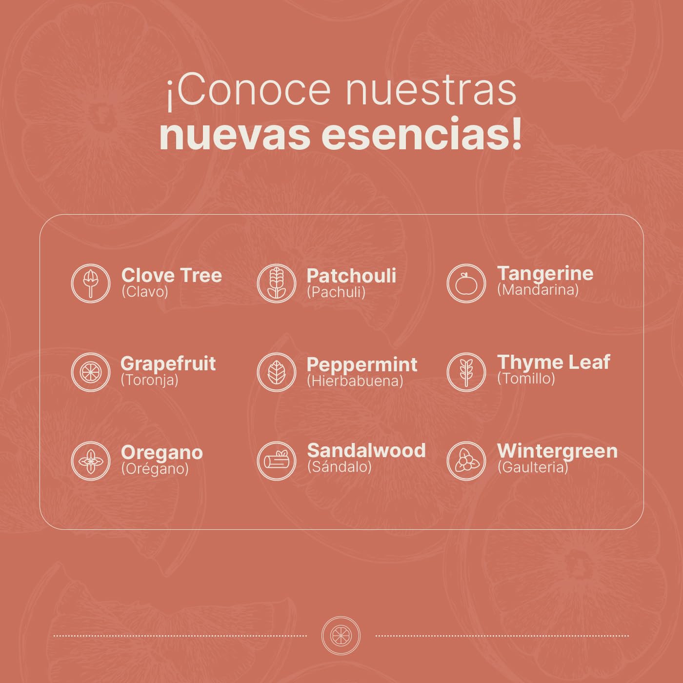 Aceite Esencial B Life Toronja Ingredientes Puros y Naturales de 50 ml
