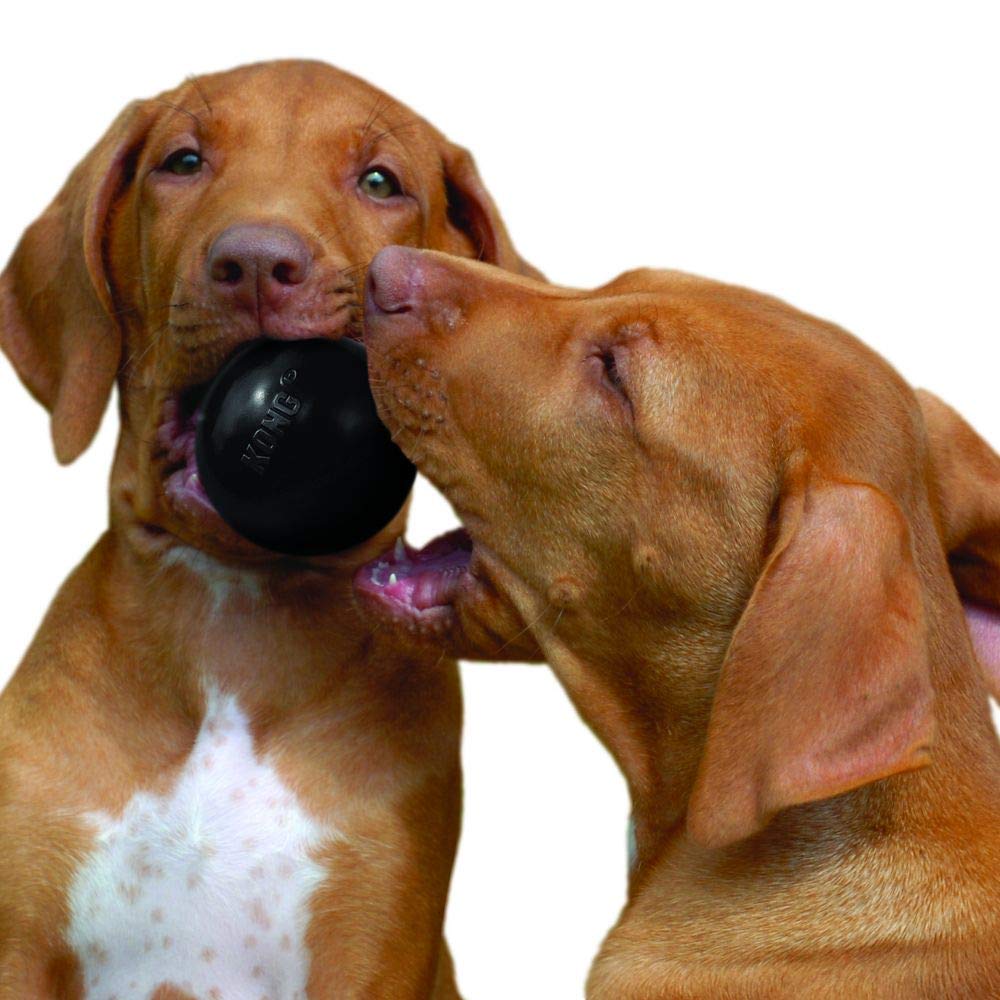 Kong Extreme Ball Pelota para perro, color Negro, Chico