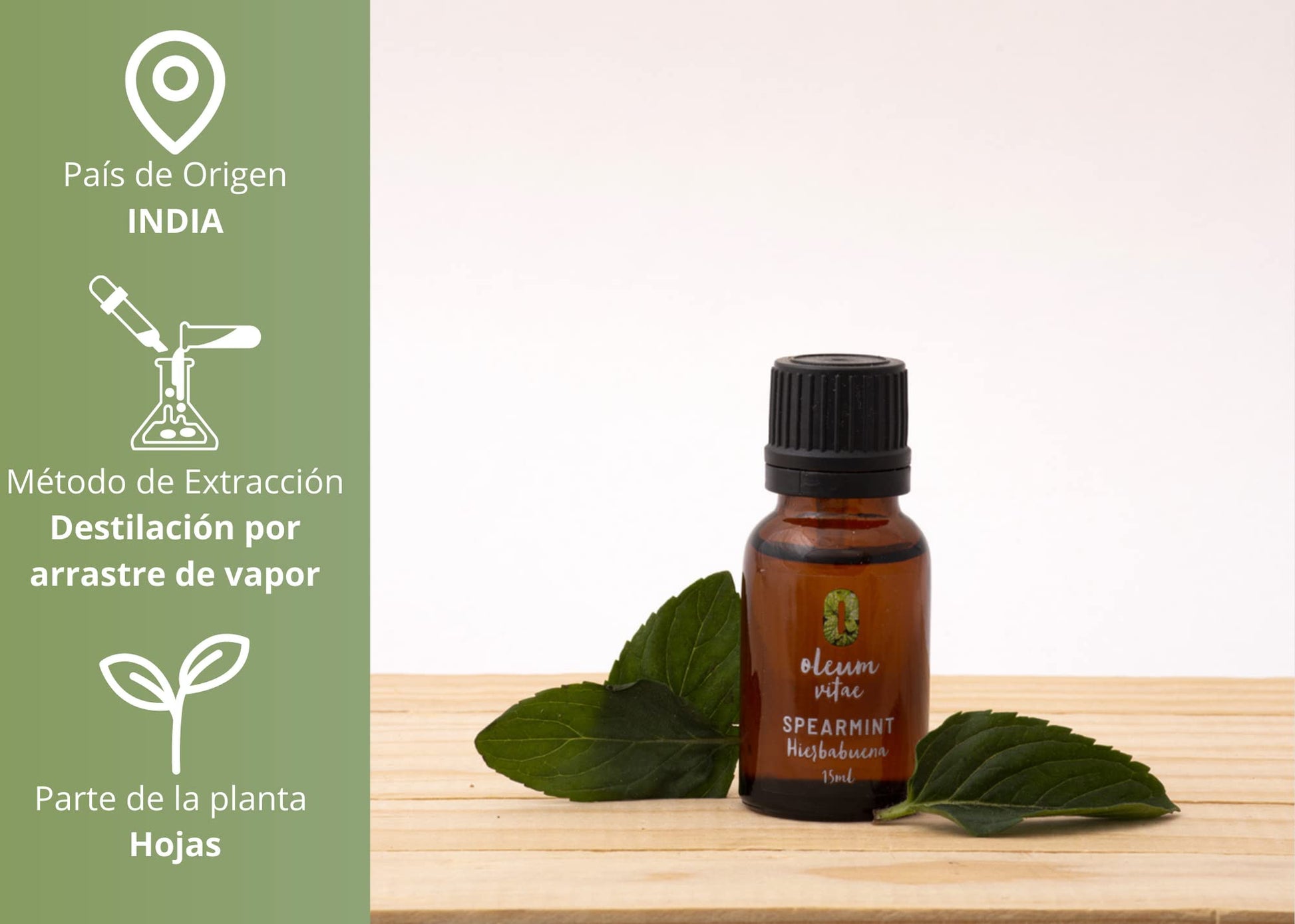 Aceite Esencial OLEUM VITAE Hierbabuena 100% Puro y Orgánico Certificado USDA 15 ml