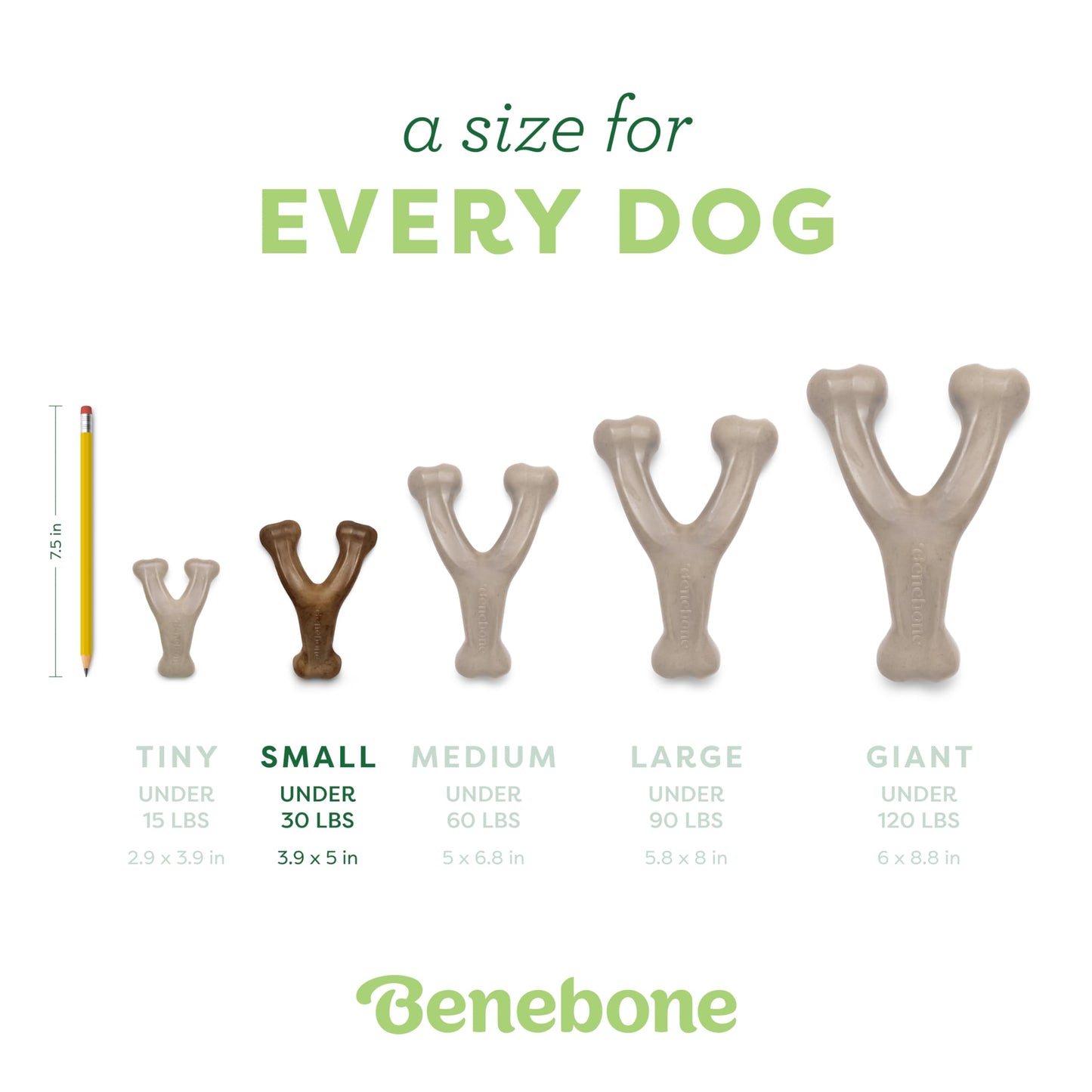Benebone MINI Bacon Flavored Wishbone Chew Toy