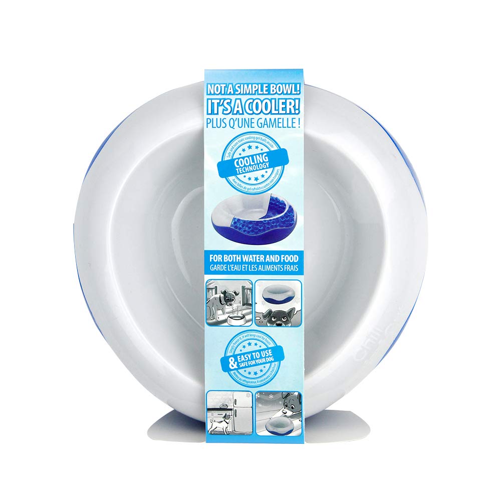 All FOR Paws All Four 8203 Bebedero de Fuente Automático Chill out Cooler Bowl, L