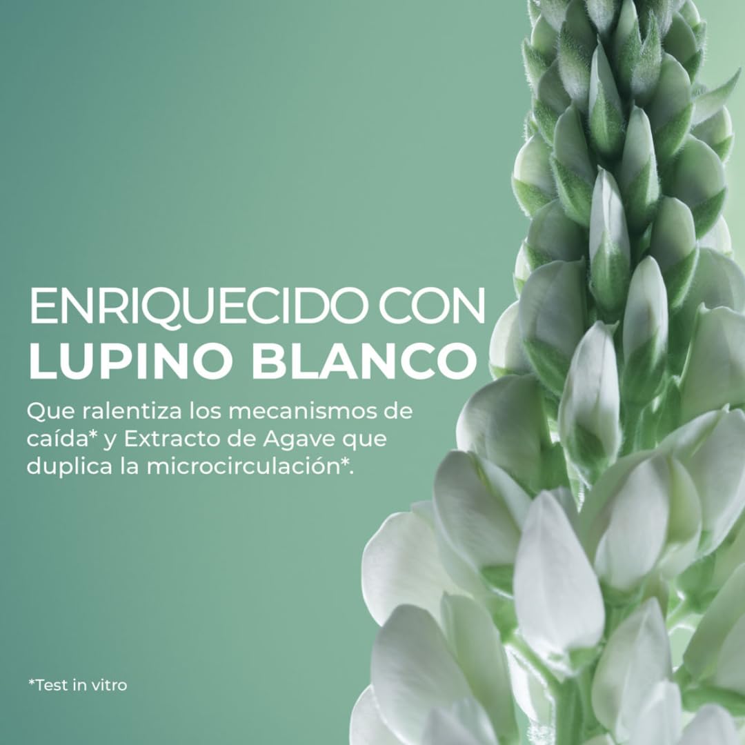 Set Triple Acción Yves Rocher ANTI-CAÍDA: Shampoo Fortalecimiento y Densidad Cabello + Ampolletas Estimulantes Crecimiento con Fructanos Agave y Lupino Blanco