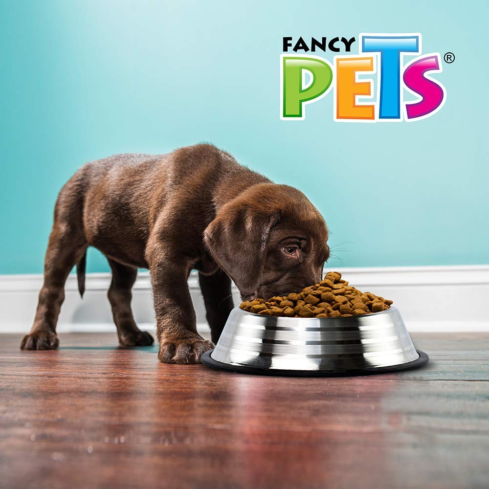 Plato Estriado de Acero Inoxidable Fancy Pets Plateado con Antiderapante para Perro