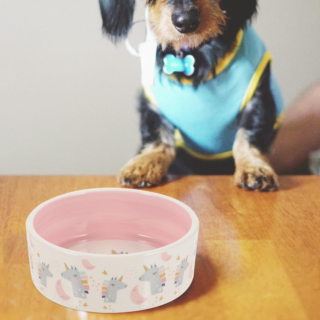 FOMIYES Comedero para Mascotas Tazón De Comida para Perros Platos para Perros Tazón De Agua para Perros Pequeños Cuenco De Agua para Gatos Cerámica Acero Inoxidable Fácil De Limpiar Rosa