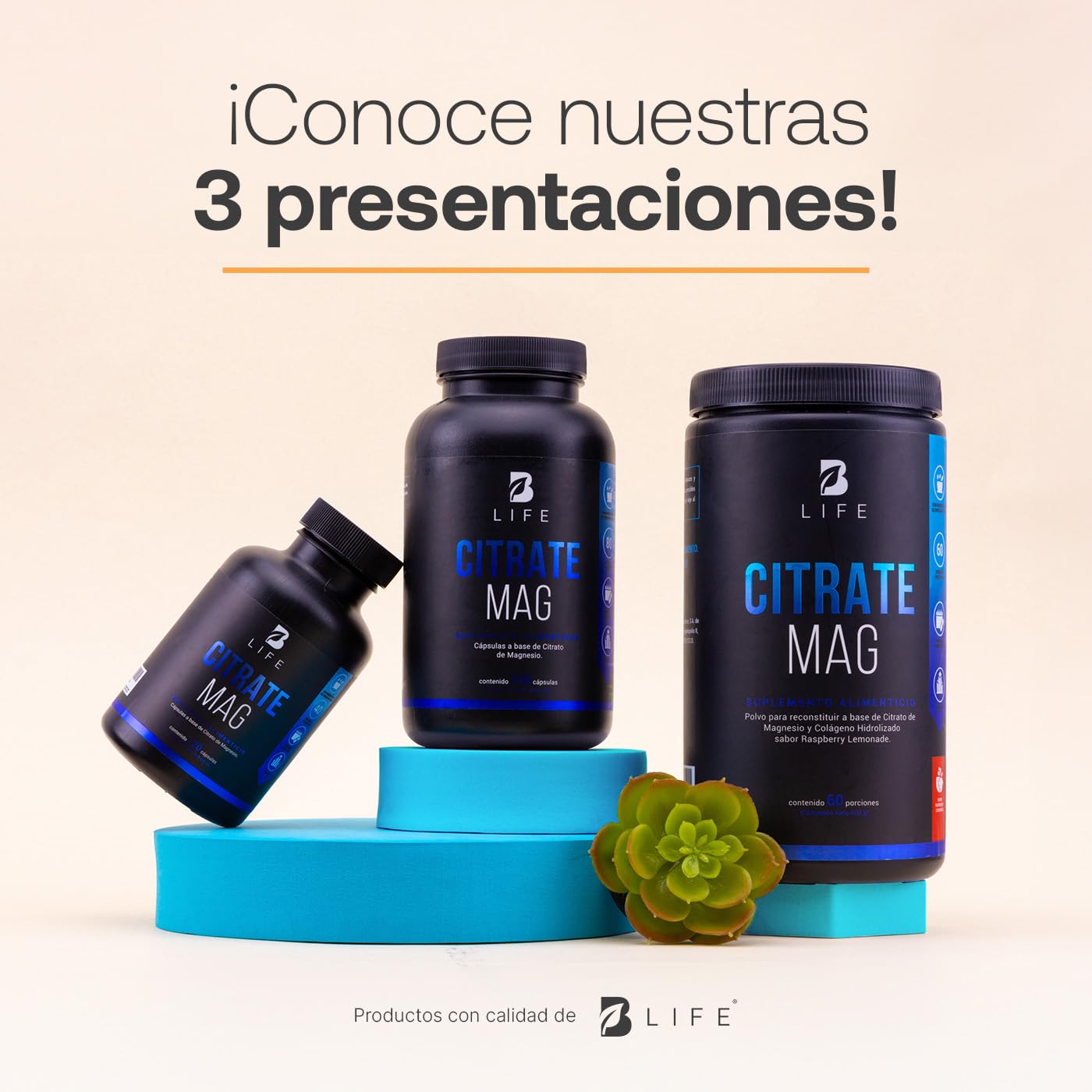 Citrato de Magnesio 600g | 60 porciones | Sabor Raspberry Lemonade | Ingredientes Naturales | Citrate Mag B life.
