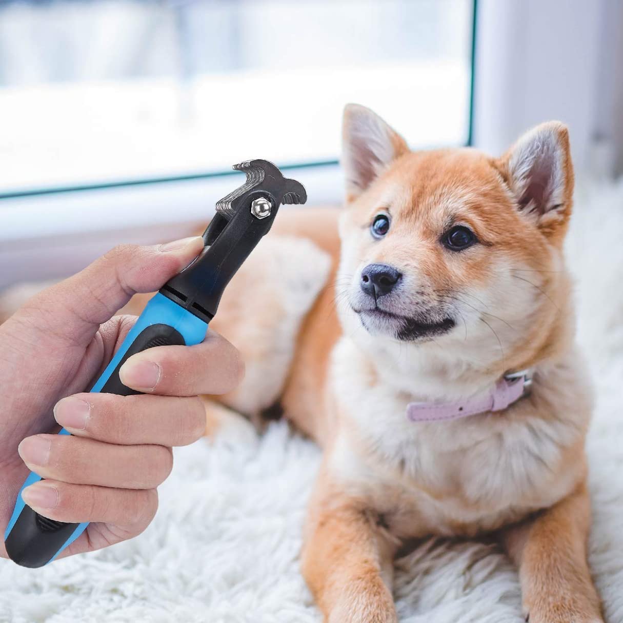 Cepillo deslanador| Cepillo para gatos y perros doble función| Peine quita exceso de pelo| Recolector de pelo de mascota con dientes redondeados| Peina y desenreda.