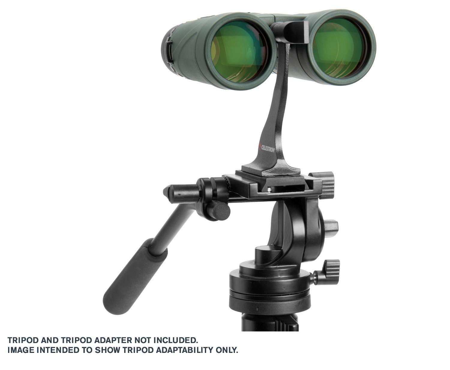 Celestron 71333 Nature DX 10x42 Binocular (Green)