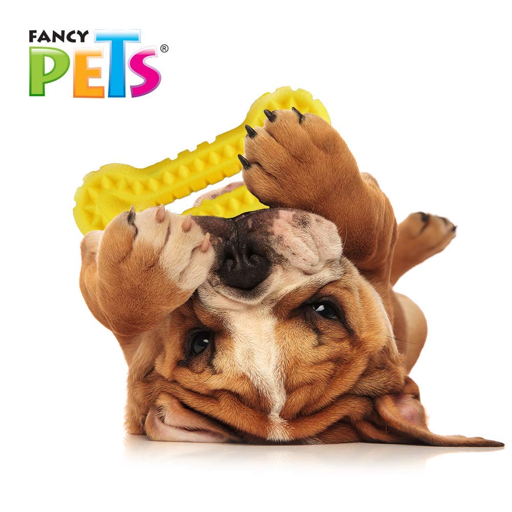 Juguete Masticable Fancy Pets Hueso Grande para Perro