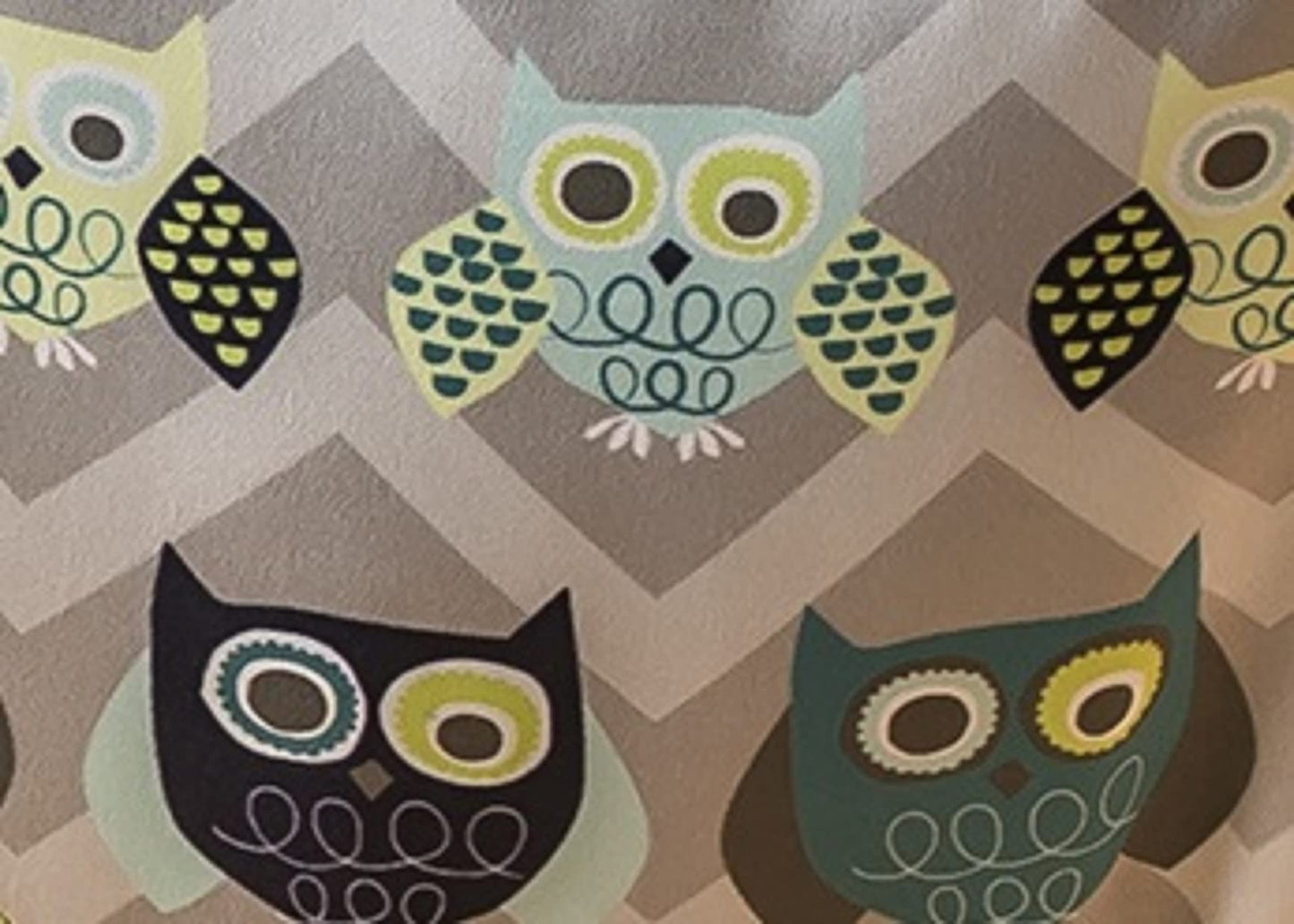 Brincador Evenflo ExerSaucer Búho para Puertas