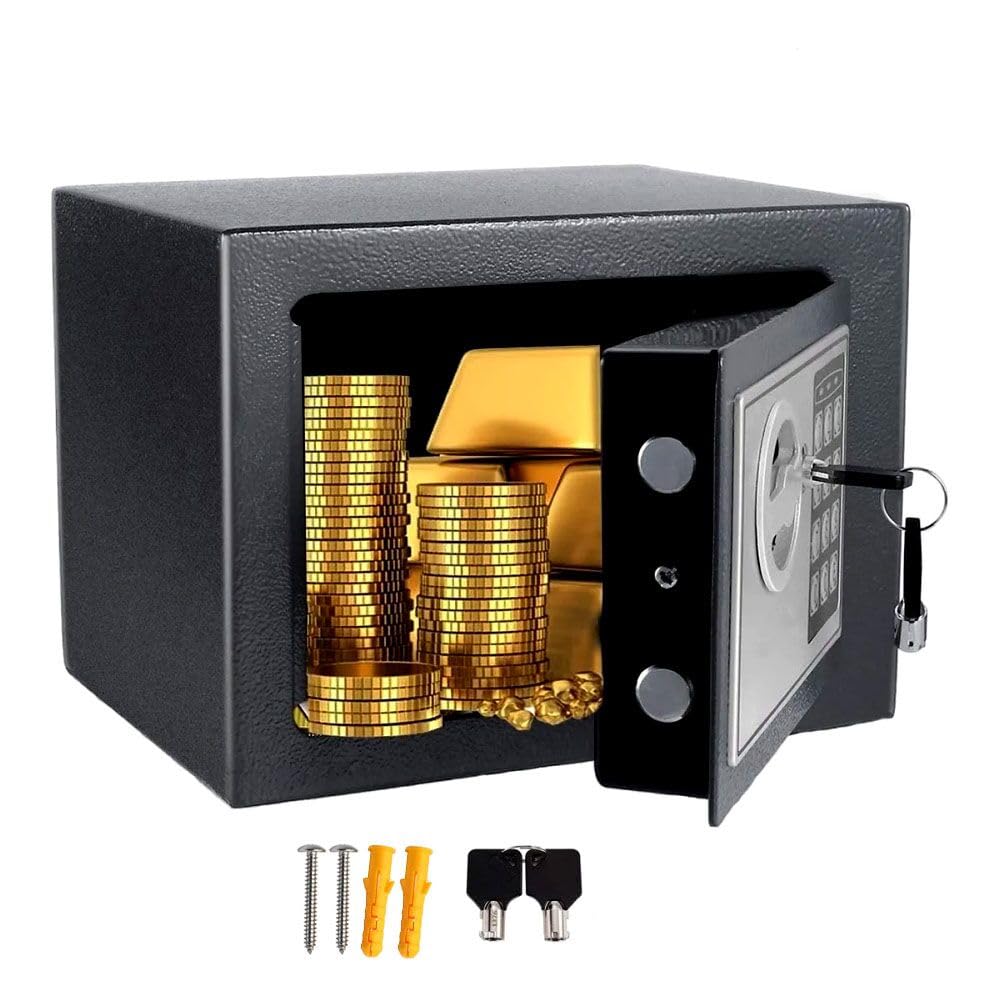 Feiniao Caja Fuerte Pequeña, Cajas Fuertes para Casa Oficina 23x17x17cm, Caja de Seguridad Digital con Teclado Contraseña y Llave, Caja Fuerte de Seguridad Alcancía Electrónica para Adultos de Acero