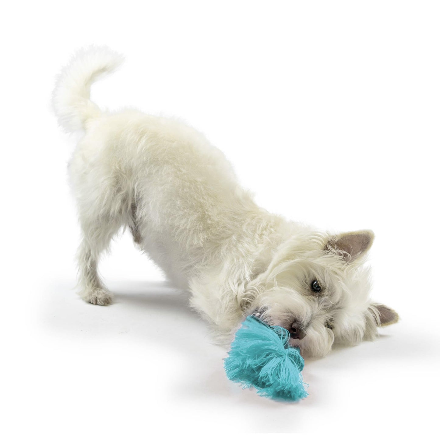 Juguete para perro Playology DriTech, tamaño mediano, aroma de mantequilla de maní natural