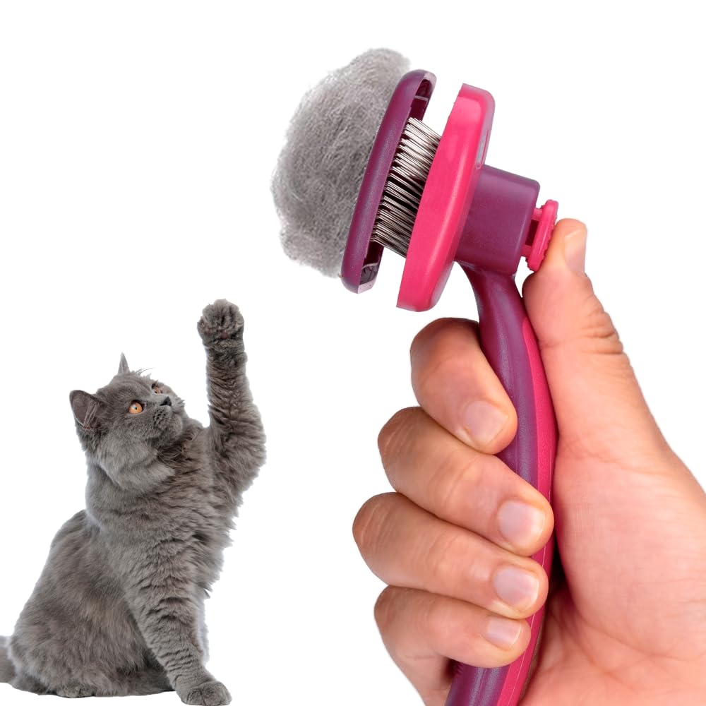 Fancy Pets Carda Cepillo con Botón de Autolimpieza para Perros y Gatos Tamaño Chico