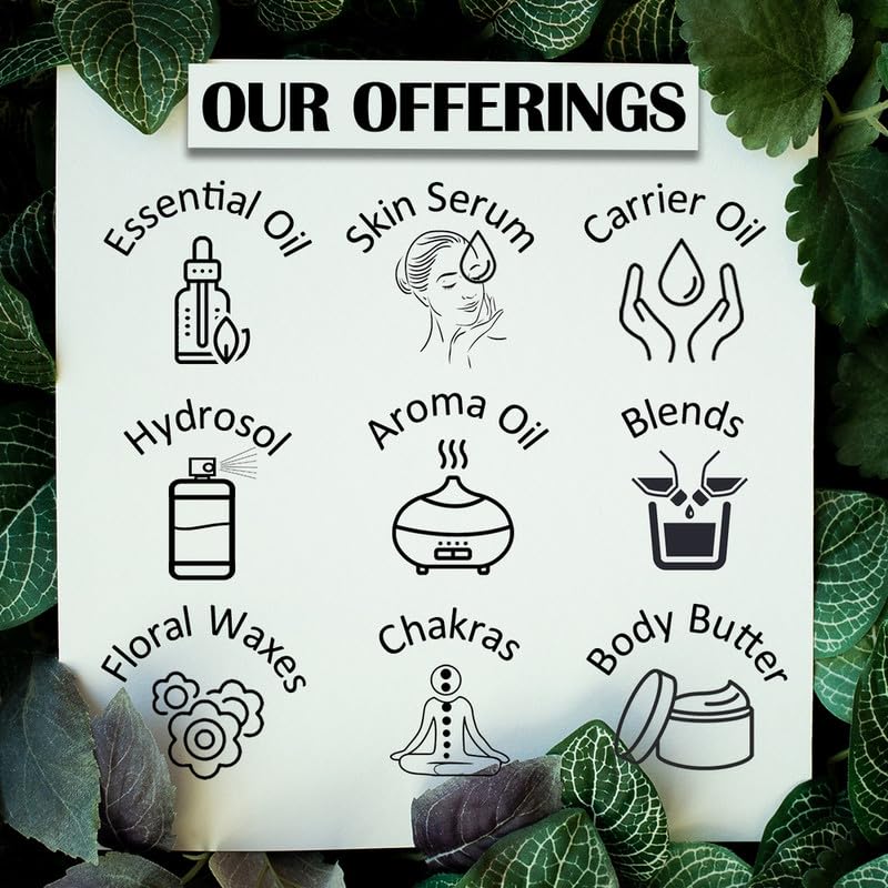 Deve Herbes Aceite portador de fenogreco puro (Methi) (Trigonella foenumgraecum) 100% natural de grado terapéutico prensado en frío (15 ml (0.5 oz) con cuentagotas de plástico Euro)
