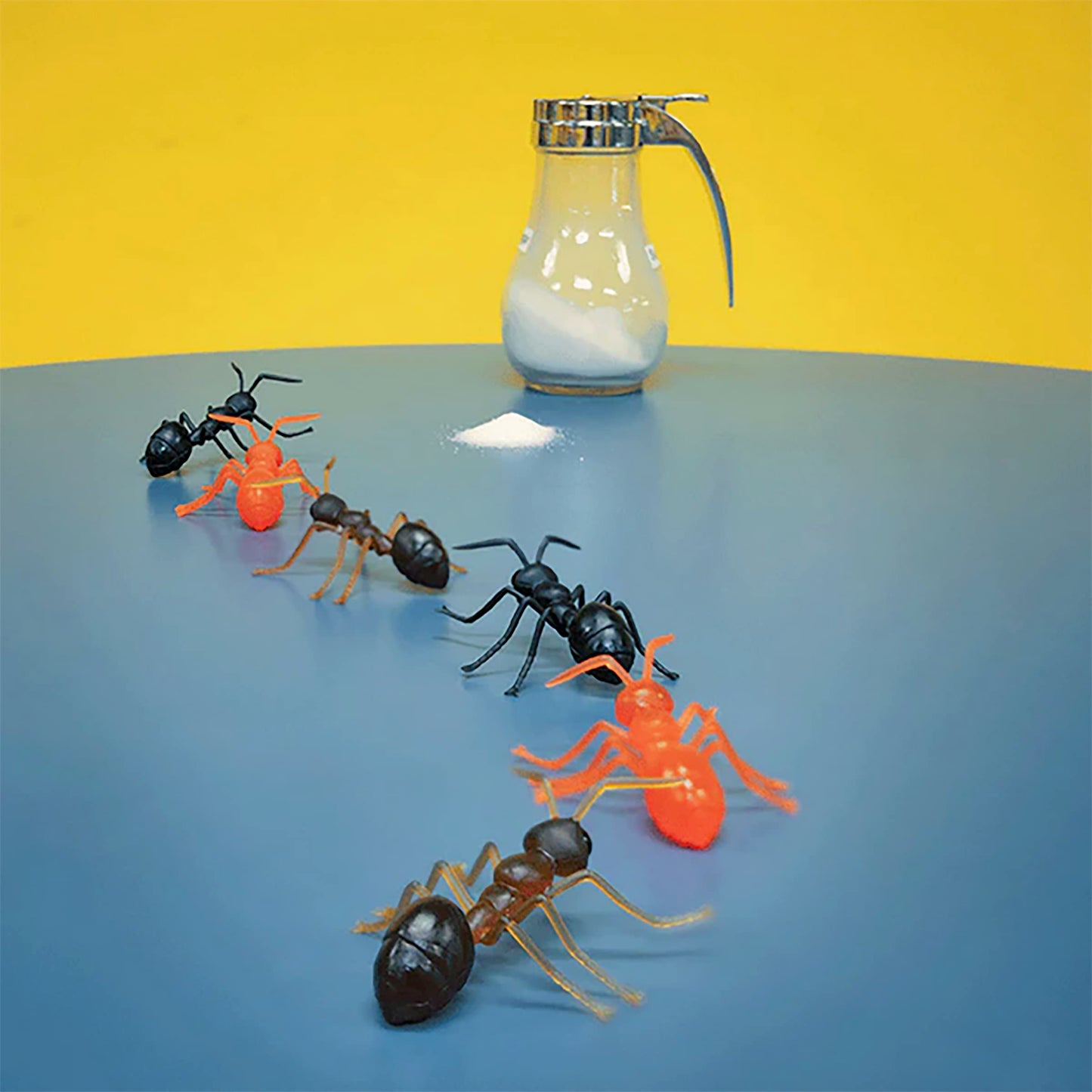 Caja de Regalo Mcphee Accoutrements Hormigas Archie novedosas