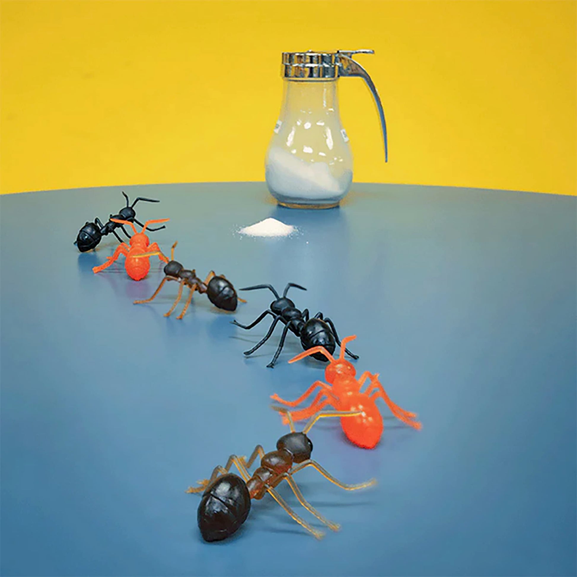 Caja de Regalo Mcphee Accoutrements Hormigas Archie novedosas