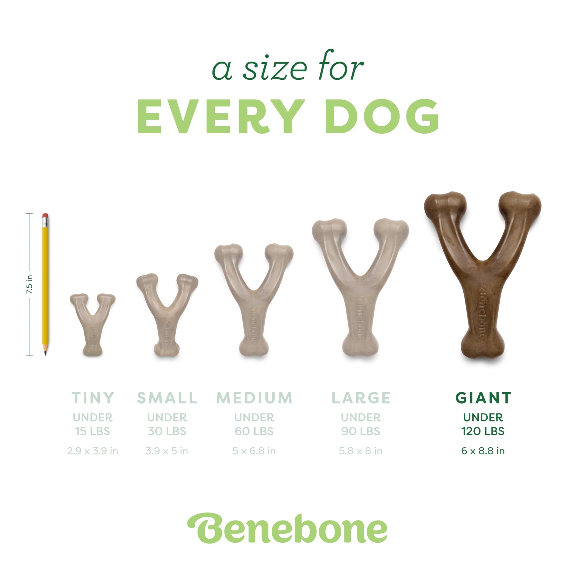 Juguete Masticable Sabor Tocino Gigante Wishbone