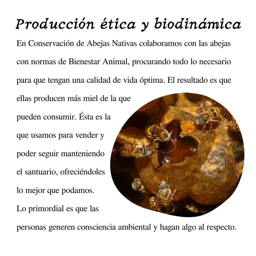 Beecheii Abeja Melipona Mascarilla Redensificante KOSHER Para Rostro, Cuello y Escote. Anti-Arrugas, Nutritiva Natural. Elaborada ética y sustentablemente, proveniente de un Santuario de abejas