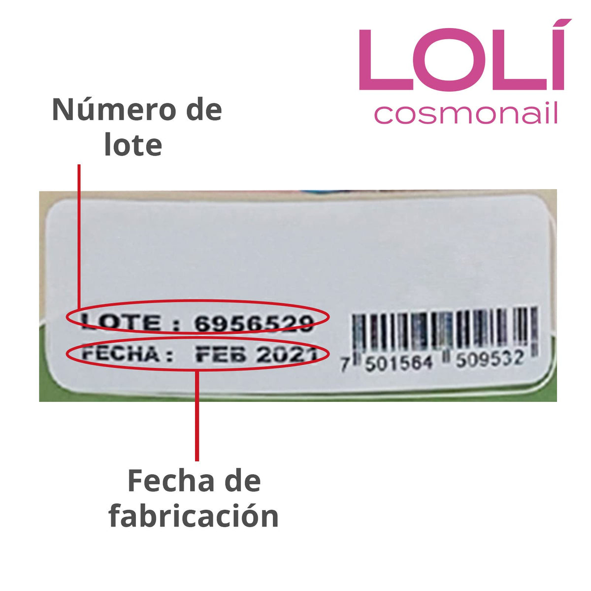 Loli - Paquete de 4 Esmaltes para Uñas Colección Tierna