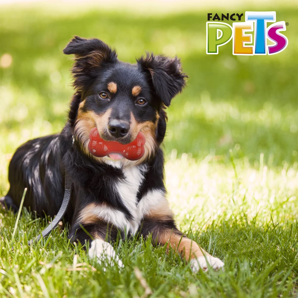 Juguete Forma de Hueso Fancy Pets Xtreme Mediano para Perro