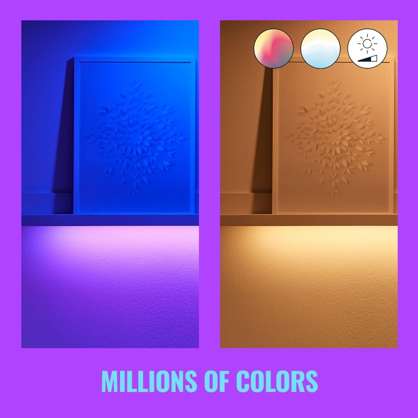 Extensión Tira de Luz WiZ Colores Compatible con Alexa