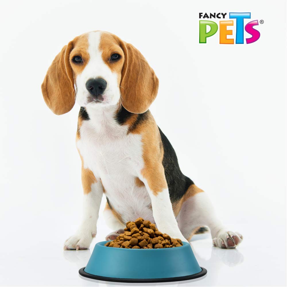 Plato para Perro Fancy Pets Colores Surtidos 24 Onzas