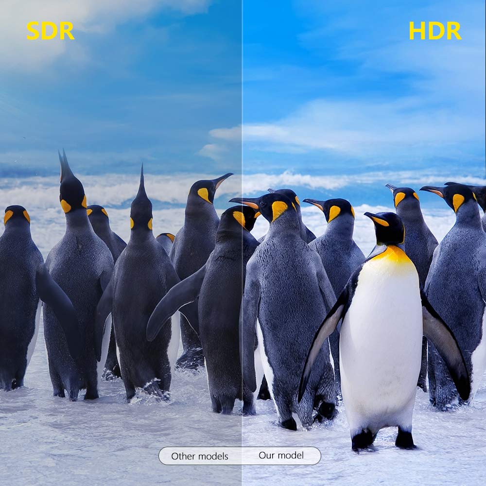 TV Box Android 10.0 TX3 Mini Negro Quad Core 2GB RAM 16GB ROM para Smart Home