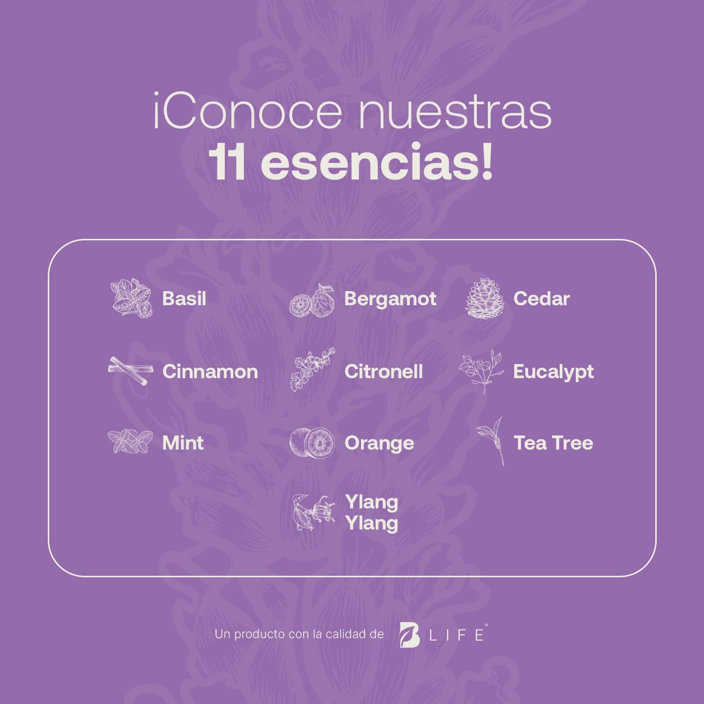 Aceite Esencial B Life Lavanda con Ingredientes Puros y Naturales 50 ml