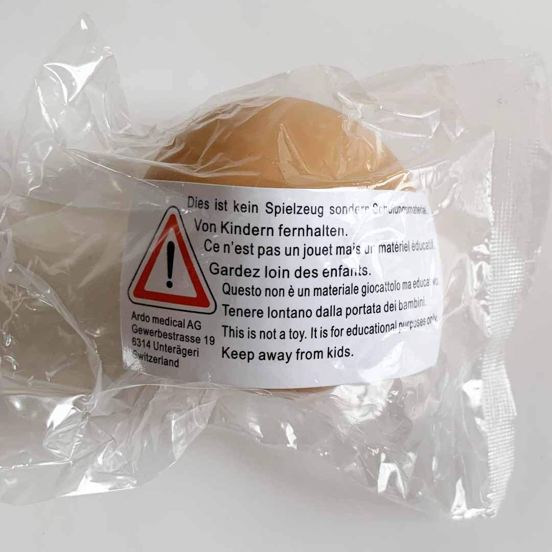 Modelo de Lactancia Materna Ardo Demo Silicona para Profesionales de la Salud