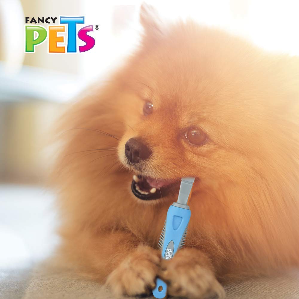 Cepillo Dental Triple Fancypets Unicolor para Perro