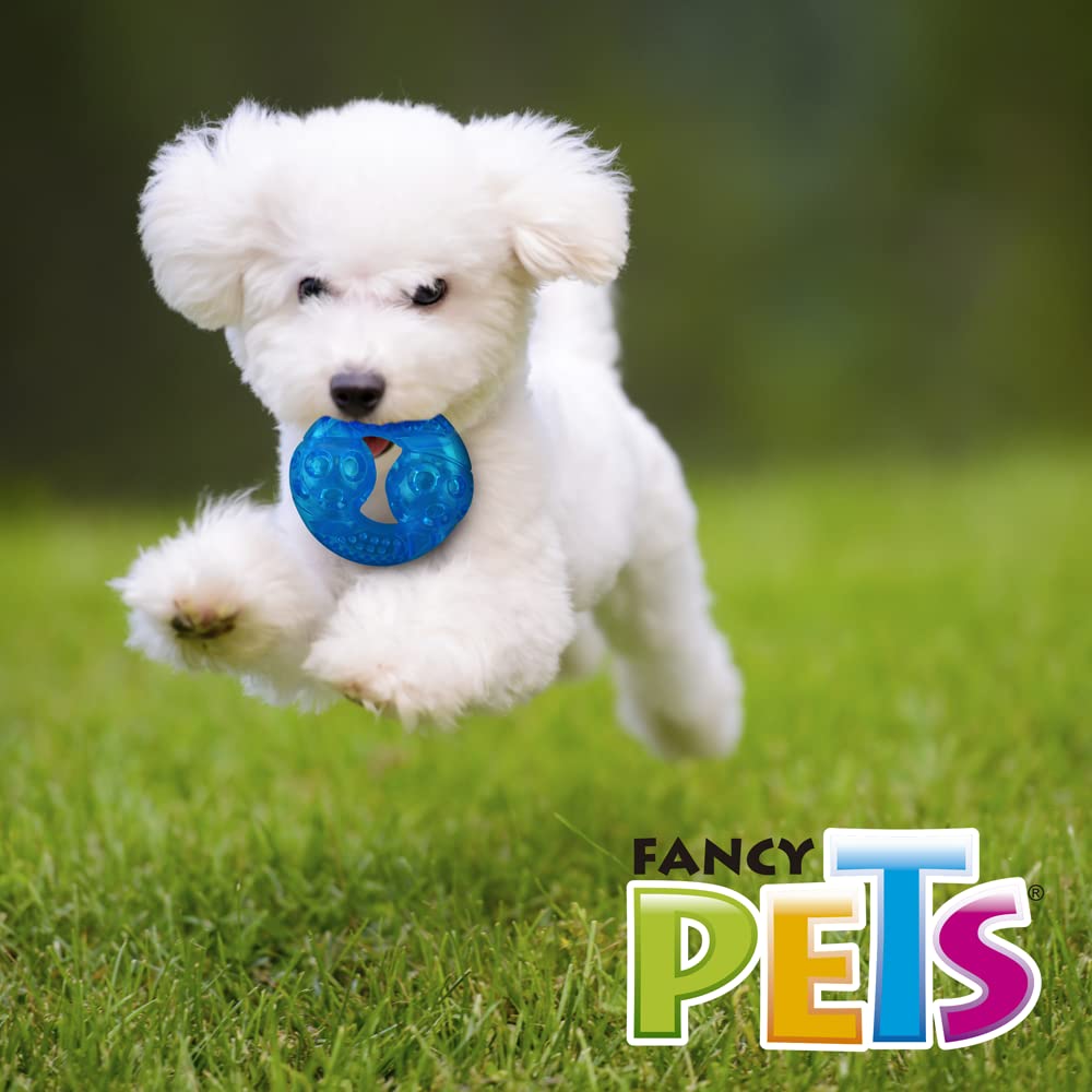 Juguete Dona Fancy Pets Chico Sound para Perro