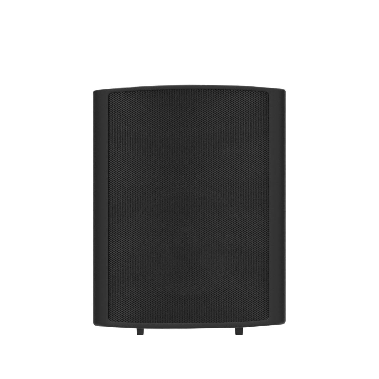 Theater Solutions TS425ODB Indoor/Outdoor Speaker (Black)