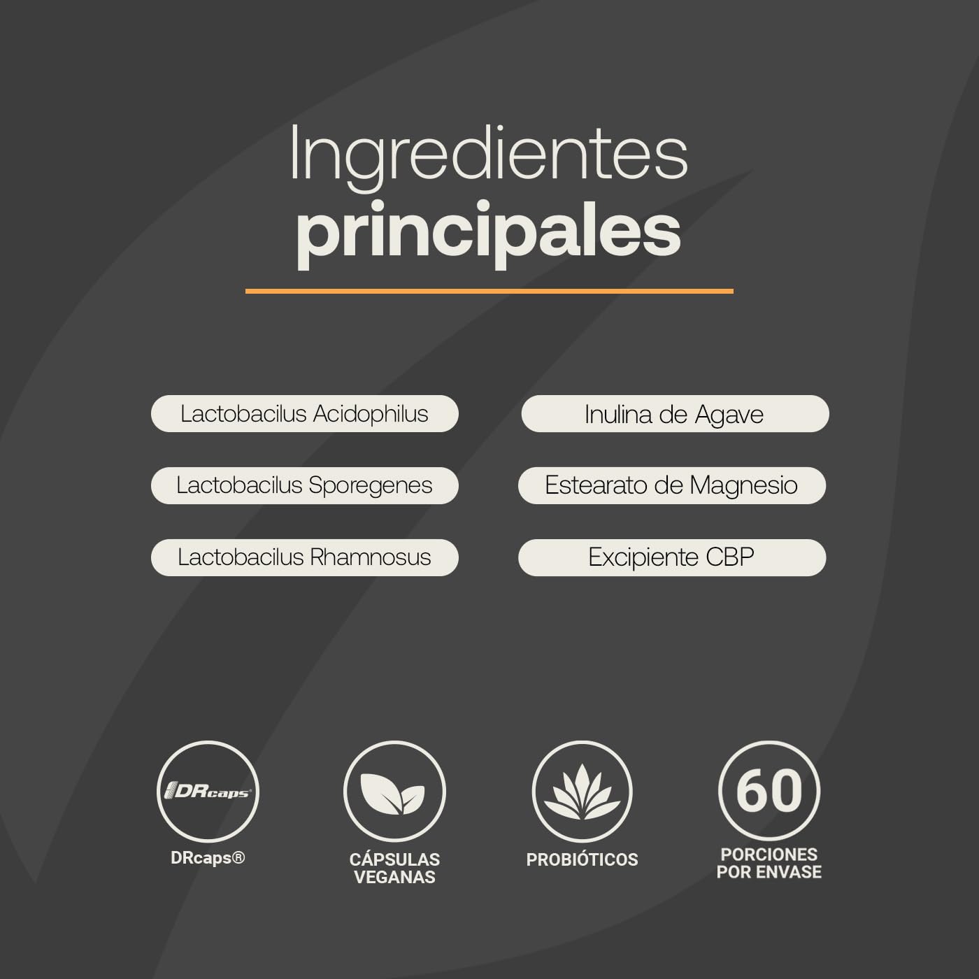 B Life Probióticos 60 Billones UFC | 60 Cápsulas | 3 Cepas De Probióticos | Liberación Retardada | Tecnología Patentada DRcaps | Adicionados Con Inulina De Agave | 60 Billion Probiotics.