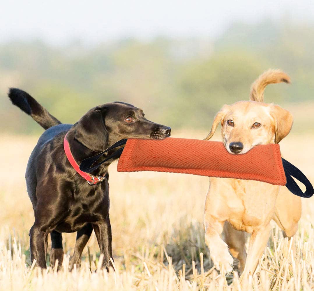 Clysrou Juguete para perros de juguete, almohada resistente de yute – duradero, equipo de entrenamiento – Juguete interactivo para cachorros a perros grandes. (Naranja)..