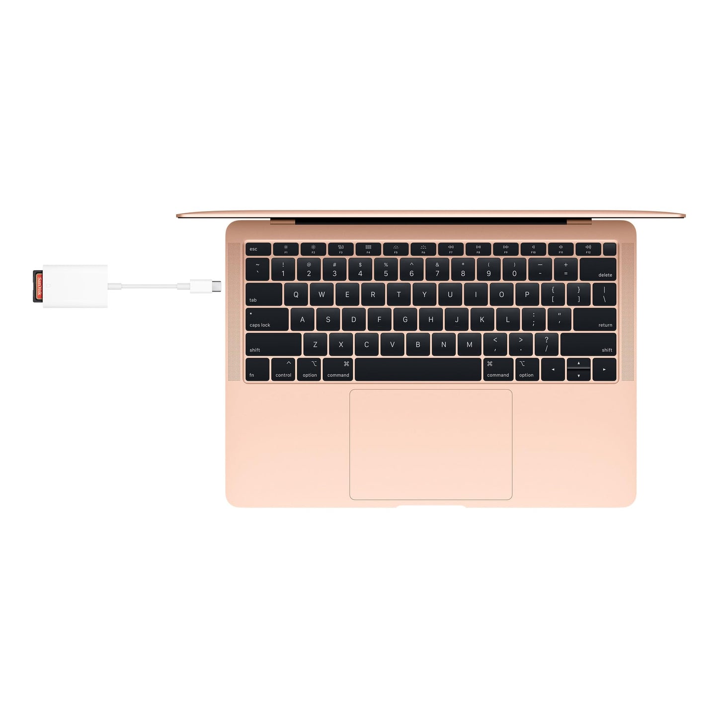 Adaptador USB-C Lector de Tarjeta SD